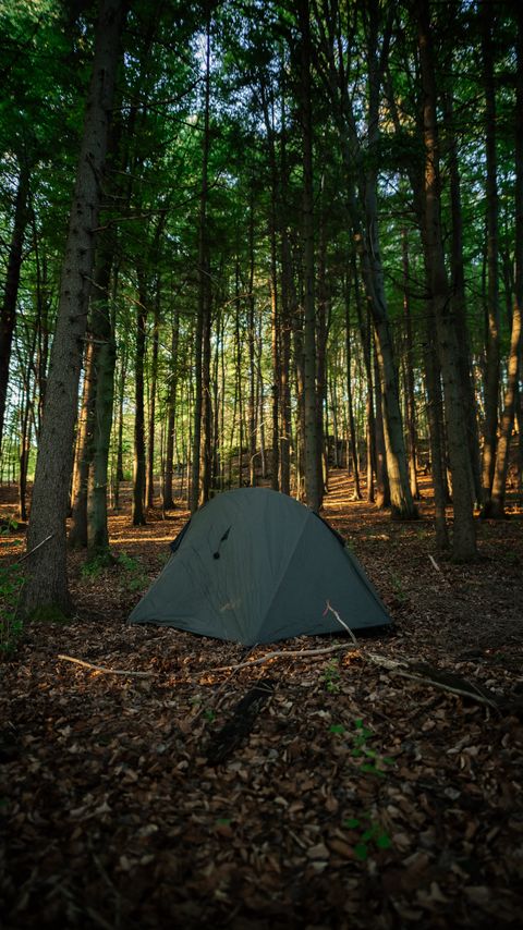 Download wallpaper 2160x3840 tent, camping, forest, trees samsung galaxy s4, s5, note, sony xperia z, z1, z2, z3, htc one, lenovo vibe hd background