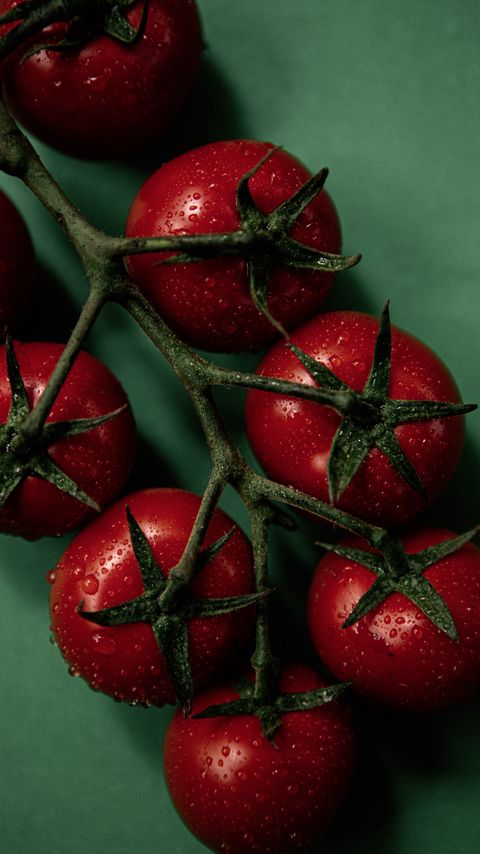 Download wallpaper 2160x3840 tomatoes, vegetables, branch, drops, water samsung galaxy s4, s5, note, sony xperia z, z1, z2, z3, htc one, lenovo vibe hd background
