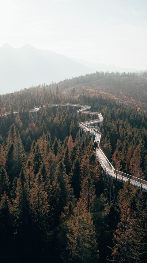 Download wallpaper 2160x3840 bridge, road, forest, trees, mountains, fog samsung galaxy s4, s5, note, sony xperia z, z1, z2, z3, htc one, lenovo vibe hd background