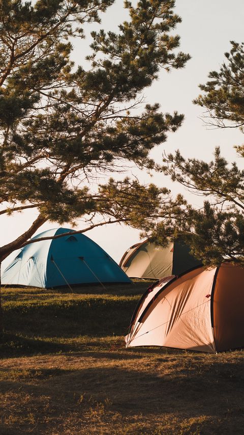 Download wallpaper 2160x3840 camping, tents, trees, rest samsung galaxy s4, s5, note, sony xperia z, z1, z2, z3, htc one, lenovo vibe hd background