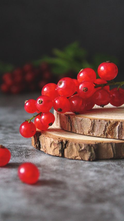 Download wallpaper 2160x3840 currant, berries, fruit, surface, wooden samsung galaxy s4, s5, note, sony xperia z, z1, z2, z3, htc one, lenovo vibe hd background