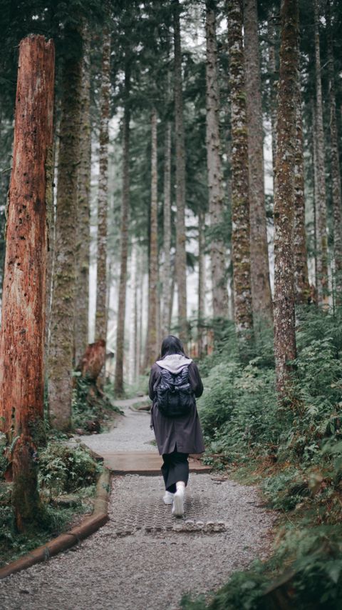Download wallpaper 2160x3840 girl, loneliness, alone, path, forest samsung galaxy s4, s5, note, sony xperia z, z1, z2, z3, htc one, lenovo vibe hd background