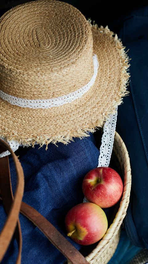 Download wallpaper 2160x3840 hat, apples, fruits, clothes samsung galaxy s4, s5, note, sony xperia z, z1, z2, z3, htc one, lenovo vibe hd background