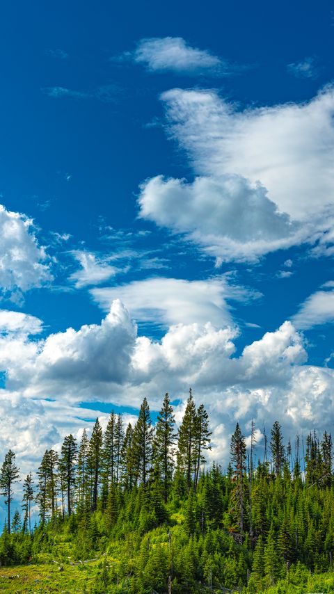 Download wallpaper 2160x3840 hill, trees, clouds, nature samsung galaxy s4, s5, note, sony xperia z, z1, z2, z3, htc one, lenovo vibe hd background
