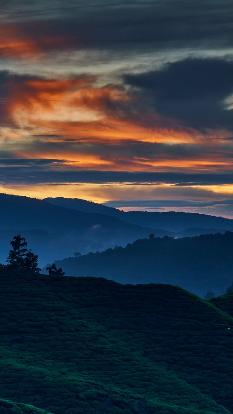 Download wallpaper 2160x3840 hills, trees, sunset, dusk, distance samsung galaxy s4, s5, note, sony xperia z, z1, z2, z3, htc one, lenovo vibe hd background