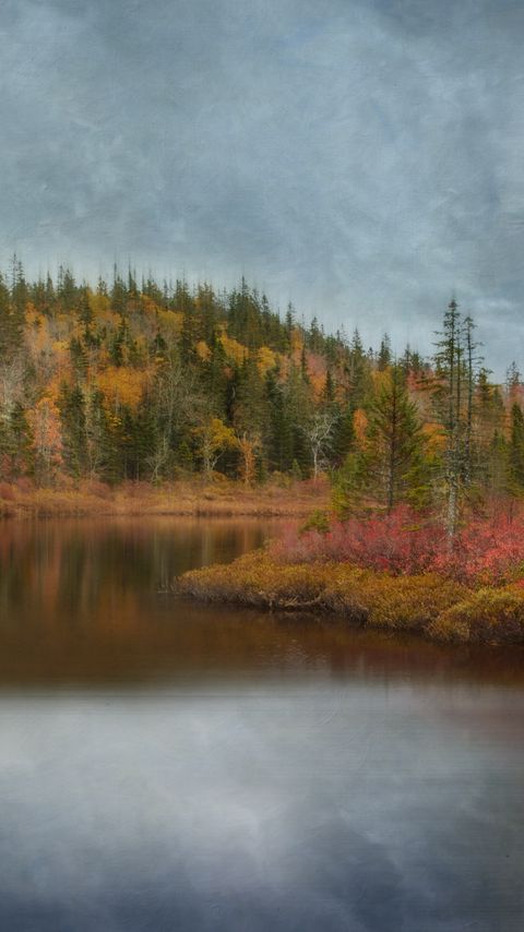 Download wallpaper 2160x3840 lake, forest, trees, autumn, landscape samsung galaxy s4, s5, note, sony xperia z, z1, z2, z3, htc one, lenovo vibe hd background