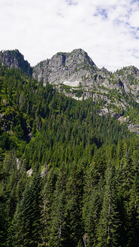 Download wallpaper 2160x3840 mountains, forest, peak, slope, trees samsung galaxy s4, s5, note, sony xperia z, z1, z2, z3, htc one, lenovo vibe hd background