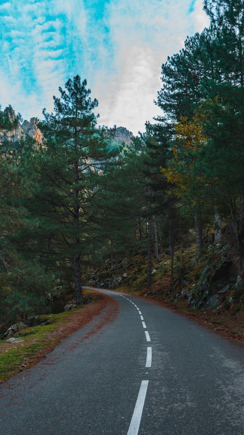Download wallpaper 2160x3840 road, turn, trees, mountains, slope samsung galaxy s4, s5, note, sony xperia z, z1, z2, z3, htc one, lenovo vibe hd background