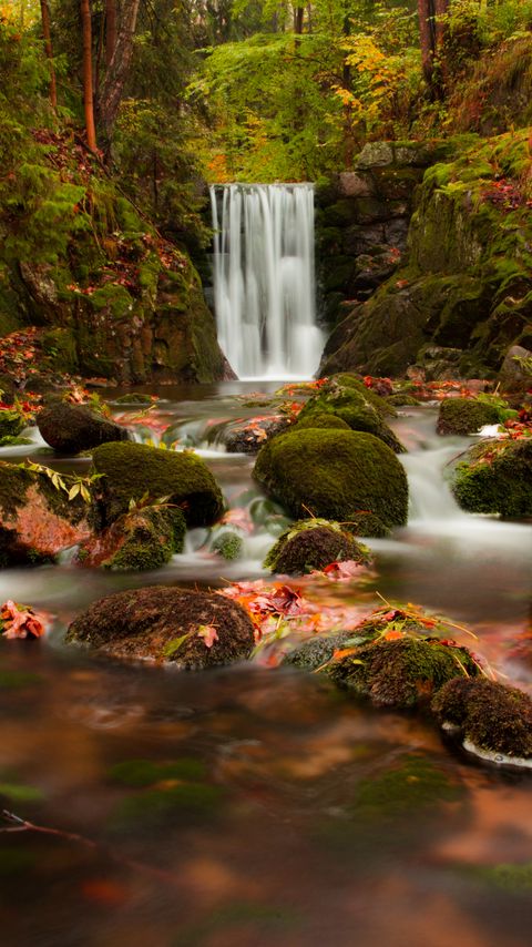 Download wallpaper 2160x3840 waterfall, autumn, stones, branches samsung galaxy s4, s5, note, sony xperia z, z1, z2, z3, htc one, lenovo vibe hd background