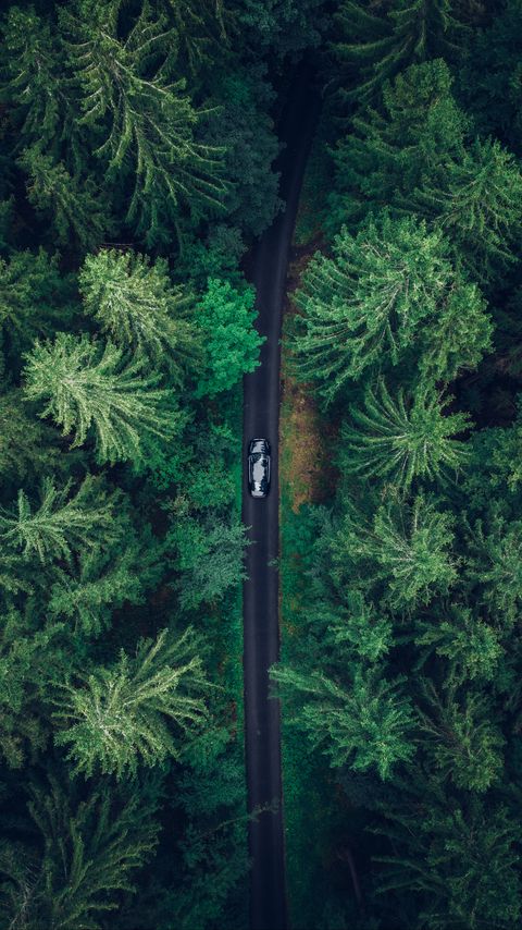 Download wallpaper 2160x3840 aerial view, car, trees, forest samsung galaxy s4, s5, note, sony xperia z, z1, z2, z3, htc one, lenovo vibe hd background
