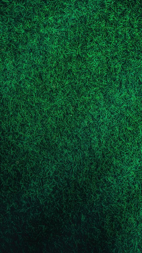 Download wallpaper 2160x3840 grass, green, lawn, aerial view samsung galaxy s4, s5, note, sony xperia z, z1, z2, z3, htc one, lenovo vibe hd background