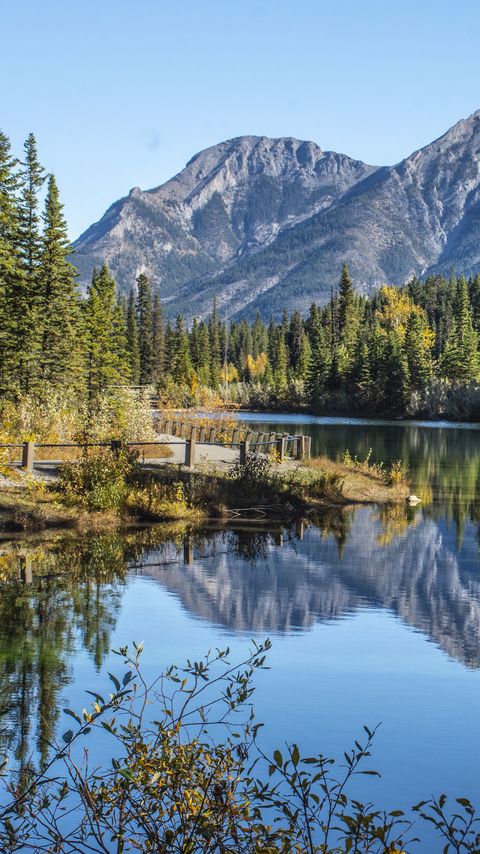 Download wallpaper 2160x3840 lake, mountains, spruce, trees, branches samsung galaxy s4, s5, note, sony xperia z, z1, z2, z3, htc one, lenovo vibe hd background
