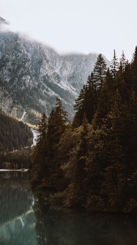 Download wallpaper 2160x3840 lake, spruce, mountains, trees, forest, fog samsung galaxy s4, s5, note, sony xperia z, z1, z2, z3, htc one, lenovo vibe hd background