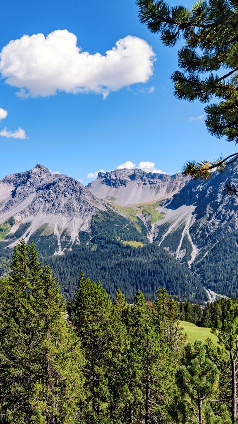 Download wallpaper 2160x3840 mountains, rocks, branches, trees, sky, clouds samsung galaxy s4, s5, note, sony xperia z, z1, z2, z3, htc one, lenovo vibe hd background