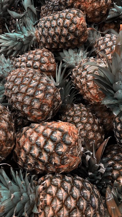 Download wallpaper 2160x3840 pineapple, fruit, tropical, leaves samsung galaxy s4, s5, note, sony xperia z, z1, z2, z3, htc one, lenovo vibe hd background