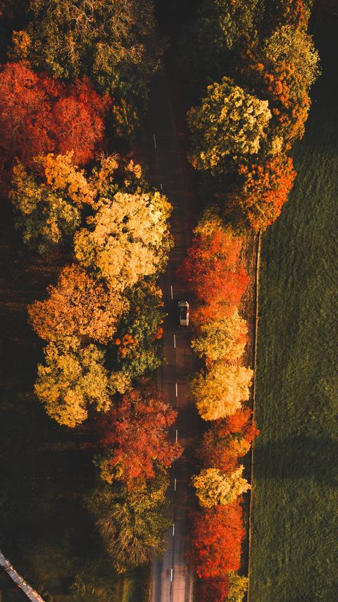 Download wallpaper 2160x3840 road, aerial view, trees, autumn, car samsung galaxy s4, s5, note, sony xperia z, z1, z2, z3, htc one, lenovo vibe hd background