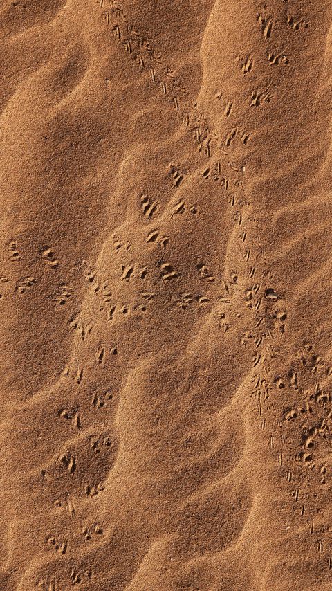 Download wallpaper 2160x3840 sand, footprints, desert, texture samsung galaxy s4, s5, note, sony xperia z, z1, z2, z3, htc one, lenovo vibe hd background
