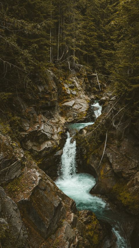 Download wallpaper 2160x3840 waterfall, stones, stream, branches, trees samsung galaxy s4, s5, note, sony xperia z, z1, z2, z3, htc one, lenovo vibe hd background