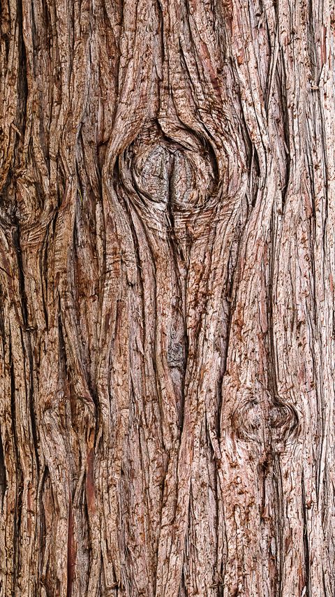 Download wallpaper 2160x3840 bark, wooden, texture, wood samsung galaxy s4, s5, note, sony xperia z, z1, z2, z3, htc one, lenovo vibe hd background
