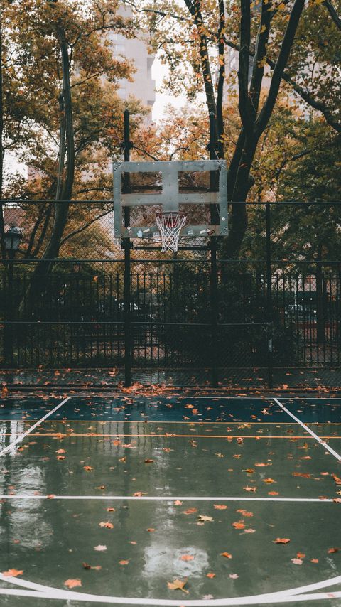 Download wallpaper 2160x3840 basketball court, basketball, court, hoop, autumn samsung galaxy s4, s5, note, sony xperia z, z1, z2, z3, htc one, lenovo vibe hd background