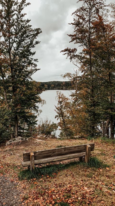 Download wallpaper 2160x3840 bench, shop, trees, nature, autumn samsung galaxy s4, s5, note, sony xperia z, z1, z2, z3, htc one, lenovo vibe hd background