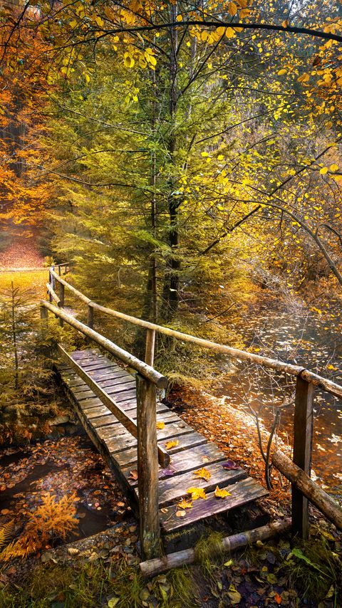 Download wallpaper 2160x3840 bridge, forest, river, autumn, nature samsung galaxy s4, s5, note, sony xperia z, z1, z2, z3, htc one, lenovo vibe hd background