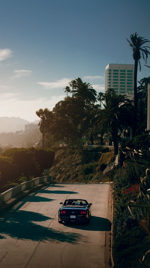 Download wallpaper 2160x3840 car, convertible, road, palm trees samsung galaxy s4, s5, note, sony xperia z, z1, z2, z3, htc one, lenovo vibe hd background
