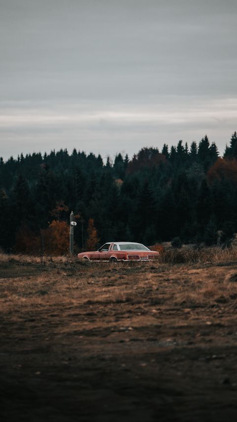 Download wallpaper 2160x3840 car, old, field, forest, nature samsung galaxy s4, s5, note, sony xperia z, z1, z2, z3, htc one, lenovo vibe hd background