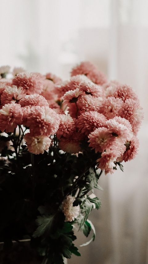 Download wallpaper 2160x3840 chrysanthemums, flowers, bouquet, vase, room samsung galaxy s4, s5, note, sony xperia z, z1, z2, z3, htc one, lenovo vibe hd background