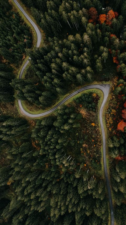 Download wallpaper 2160x3840 forest, road, aerial view, turn, trees samsung galaxy s4, s5, note, sony xperia z, z1, z2, z3, htc one, lenovo vibe hd background
