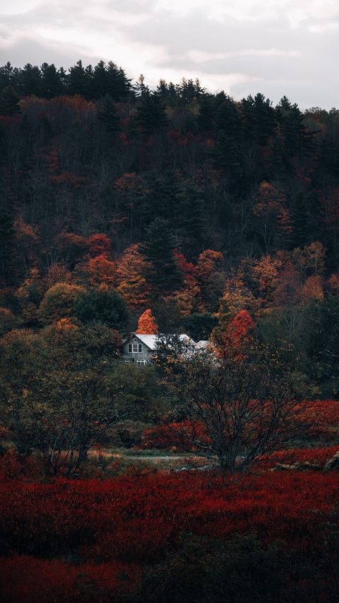 Download wallpaper 2160x3840 house, forest, autumn, nature samsung galaxy s4, s5, note, sony xperia z, z1, z2, z3, htc one, lenovo vibe hd background