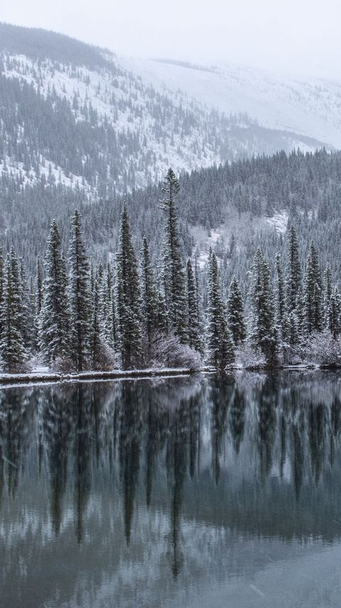 Download wallpaper 2160x3840 lake, forest, mountains, snow, landscape samsung galaxy s4, s5, note, sony xperia z, z1, z2, z3, htc one, lenovo vibe hd background