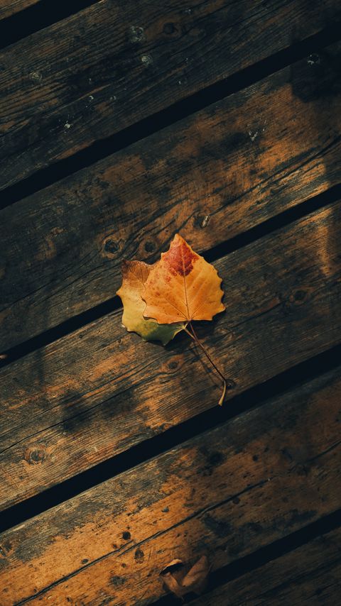 Download wallpaper 2160x3840 leaves, autumn, wooden, boards samsung galaxy s4, s5, note, sony xperia z, z1, z2, z3, htc one, lenovo vibe hd background