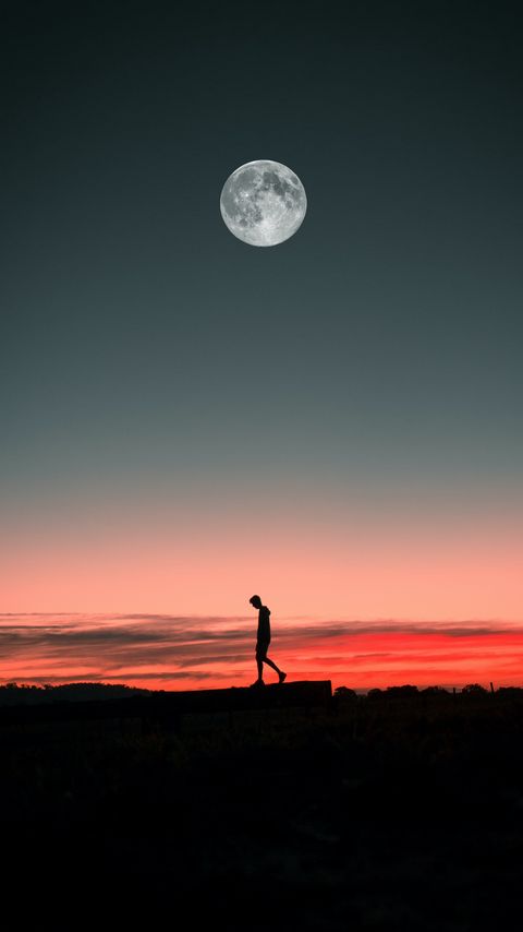 Download wallpaper 2160x3840 loneliness, alone, moon, silhouette, sunset samsung galaxy s4, s5, note, sony xperia z, z1, z2, z3, htc one, lenovo vibe hd background