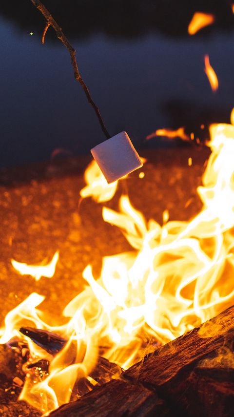 Download wallpaper 2160x3840 marshmallow, bonfire, camping, evening samsung galaxy s4, s5, note, sony xperia z, z1, z2, z3, htc one, lenovo vibe hd background