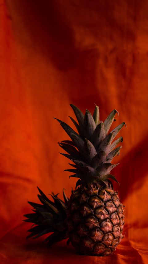 Download wallpaper 2160x3840 pineapples, fruit, brown, tropical samsung galaxy s4, s5, note, sony xperia z, z1, z2, z3, htc one, lenovo vibe hd background