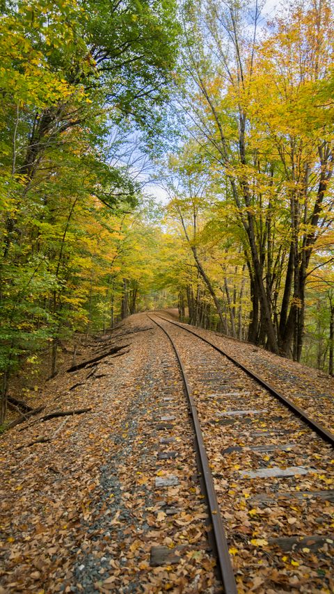 Download wallpaper 2160x3840 railroad, rails, trees, autumn, nature samsung galaxy s4, s5, note, sony xperia z, z1, z2, z3, htc one, lenovo vibe hd background