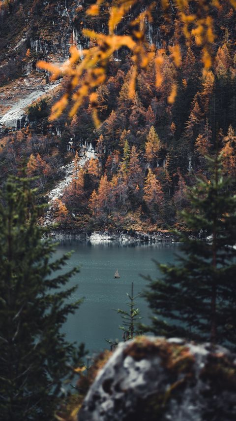 Download wallpaper 2160x3840 river, sailboat, forest, trees, branches samsung galaxy s4, s5, note, sony xperia z, z1, z2, z3, htc one, lenovo vibe hd background