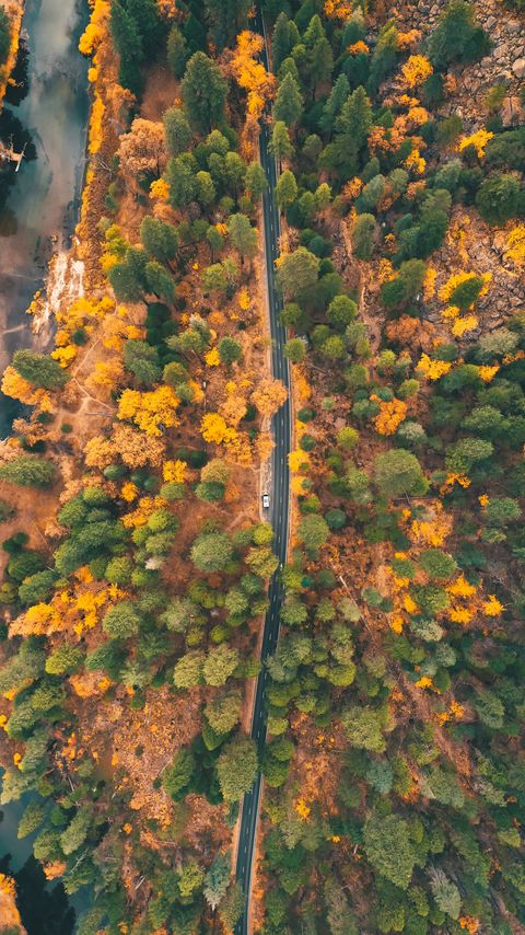 Download wallpaper 2160x3840 road, forest, aerial view, trees, car, autumn samsung galaxy s4, s5, note, sony xperia z, z1, z2, z3, htc one, lenovo vibe hd background
