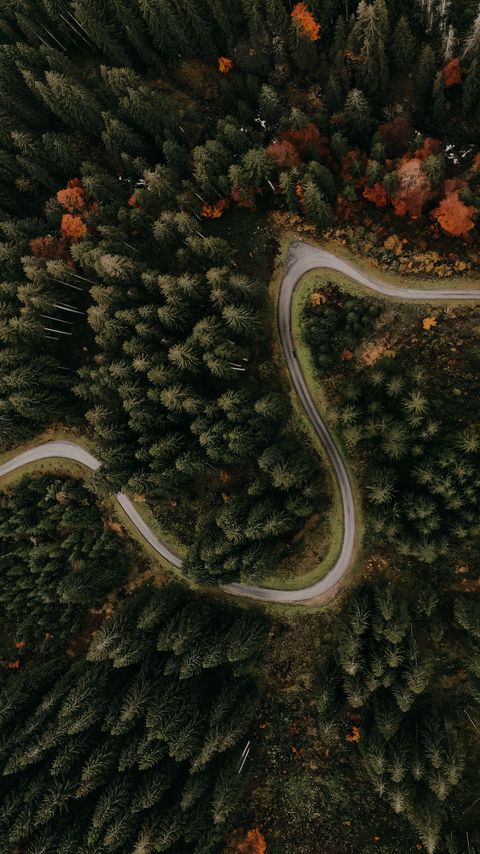 Download wallpaper 2160x3840 road, forest, aerial view, trees, turn samsung galaxy s4, s5, note, sony xperia z, z1, z2, z3, htc one, lenovo vibe hd background