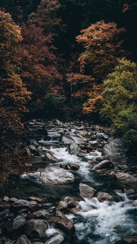 Download wallpaper 2160x3840 stream, forest, trees, stones, water samsung galaxy s4, s5, note, sony xperia z, z1, z2, z3, htc one, lenovo vibe hd background
