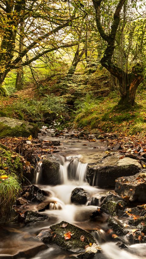 Download wallpaper 2160x3840 stream, river, trees, autumn, nature samsung galaxy s4, s5, note, sony xperia z, z1, z2, z3, htc one, lenovo vibe hd background