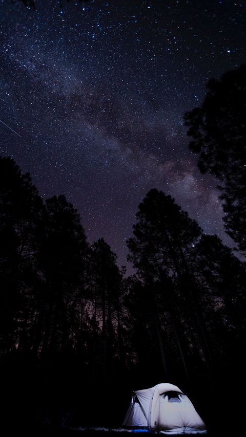 Download wallpaper 2160x3840 tent, starry sky, trees, night, camping samsung galaxy s4, s5, note, sony xperia z, z1, z2, z3, htc one, lenovo vibe hd background