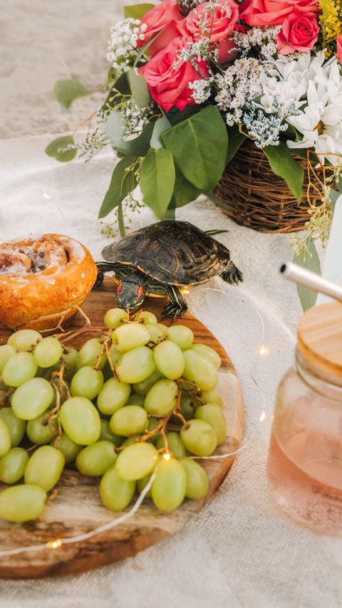 Download wallpaper 2160x3840 turtle, animal, grapes, fruits, flowers samsung galaxy s4, s5, note, sony xperia z, z1, z2, z3, htc one, lenovo vibe hd background