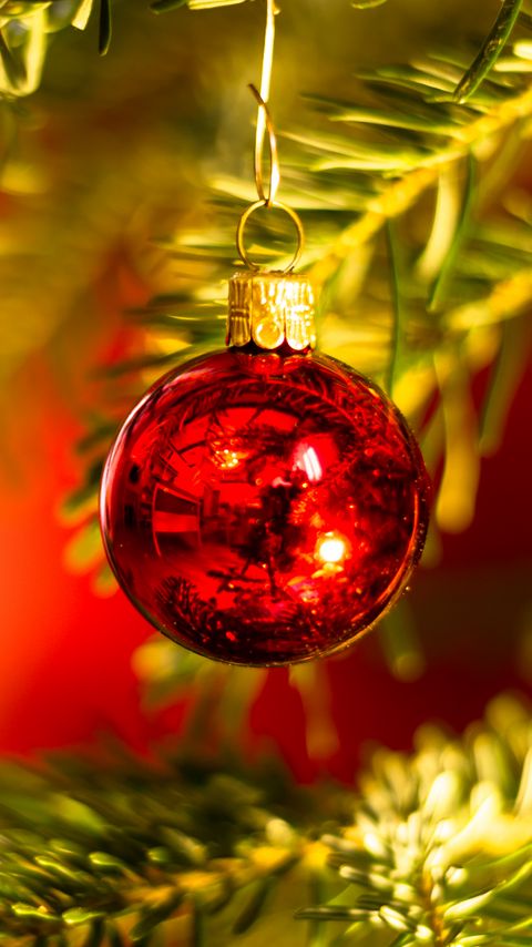 Download wallpaper 2160x3840 ball, decoration, red, christmas tree, new year, christmas samsung galaxy s4, s5, note, sony xperia z, z1, z2, z3, htc one, lenovo vibe hd background