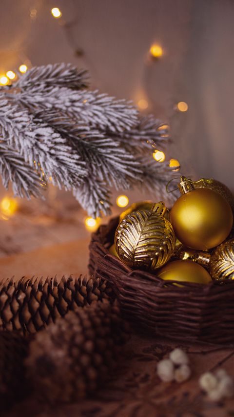 Download wallpaper 2160x3840 balls, decorations, cones, branch, garland, new year, christmas samsung galaxy s4, s5, note, sony xperia z, z1, z2, z3, htc one, lenovo vibe hd background