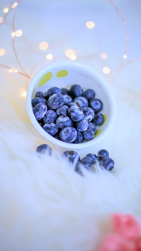Download wallpaper 2160x3840 blueberries, berries, blue, bowl, garland samsung galaxy s4, s5, note, sony xperia z, z1, z2, z3, htc one, lenovo vibe hd background