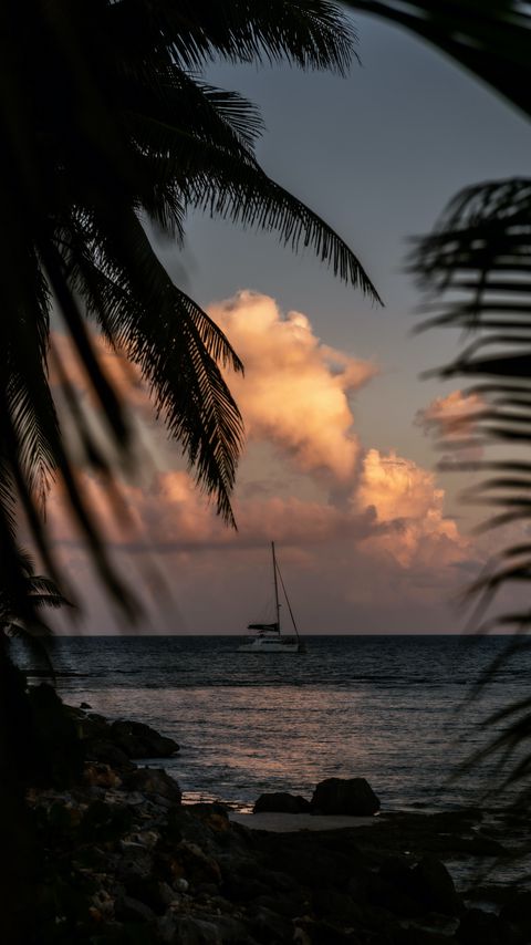Download wallpaper 2160x3840 boat, sea, palm trees, branches, dusk samsung galaxy s4, s5, note, sony xperia z, z1, z2, z3, htc one, lenovo vibe hd background