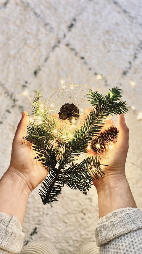 Download wallpaper 2160x3840 branch, garland, cones, hands, holiday, new year, christmas samsung galaxy s4, s5, note, sony xperia z, z1, z2, z3, htc one, lenovo vibe hd background