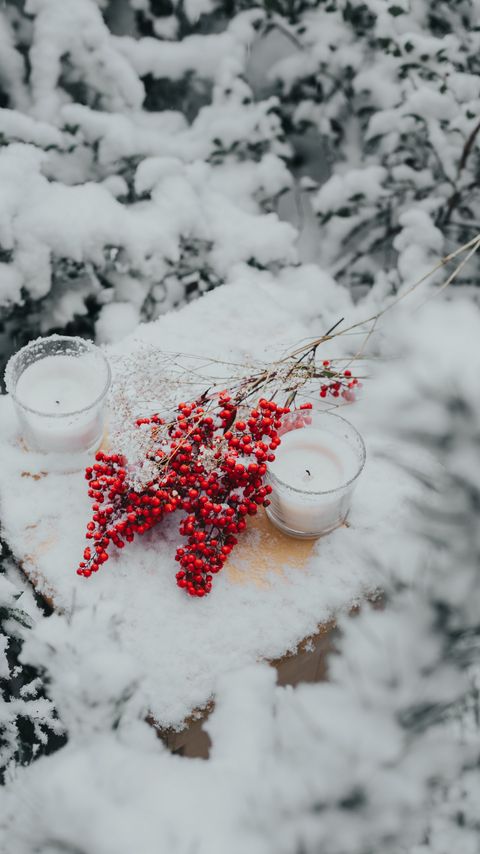 Download wallpaper 2160x3840 branches, berries, candles, snow samsung galaxy s4, s5, note, sony xperia z, z1, z2, z3, htc one, lenovo vibe hd background